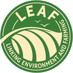 LEAF